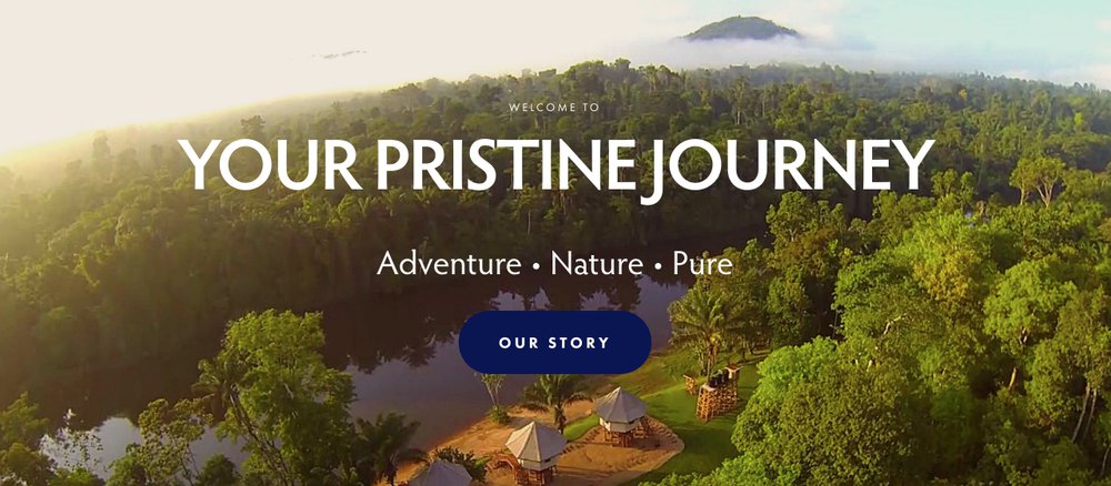 pristine rainforest tours hero image example 